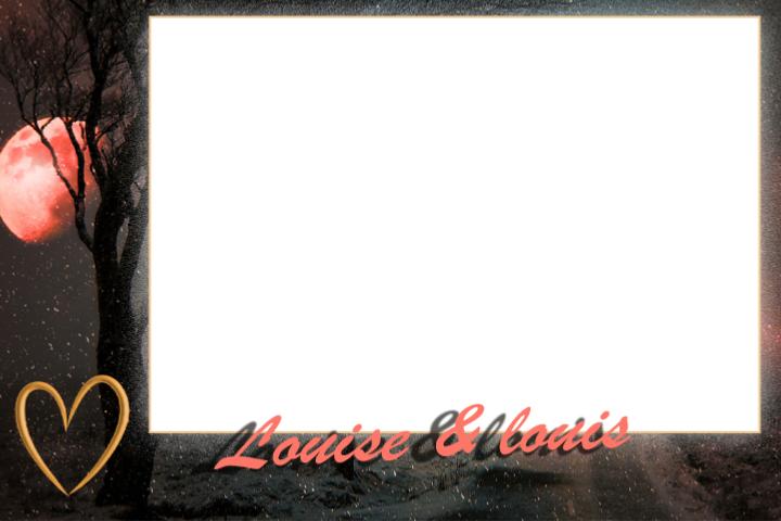 Cadre photobooth mariage Nuit �toil�e – fond bleu nuit scintillant – location �le‑de‑France